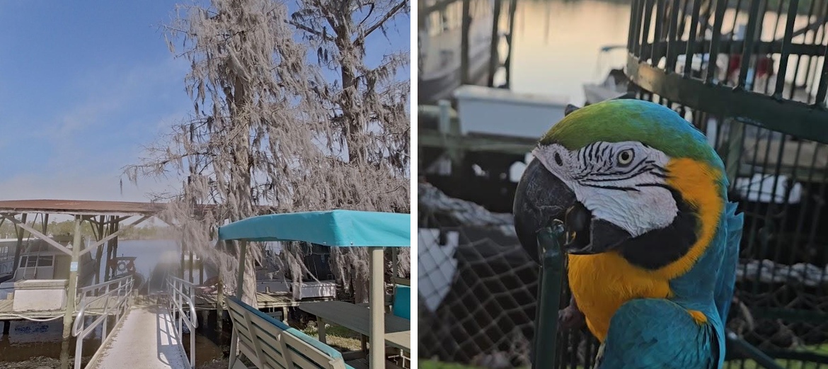 Capt. Bob Beck's Marina Cafe